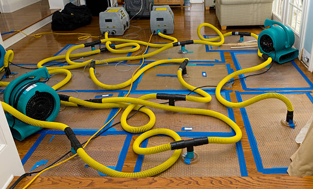 Professional Water Damage Restoration technician working in Arcadia, IN